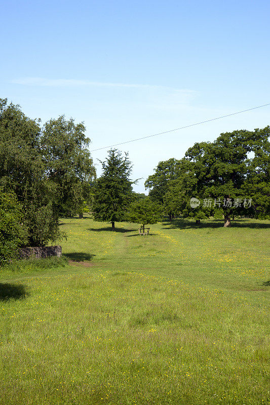 风景优美的科茨沃尔德- Minchinhampton Common